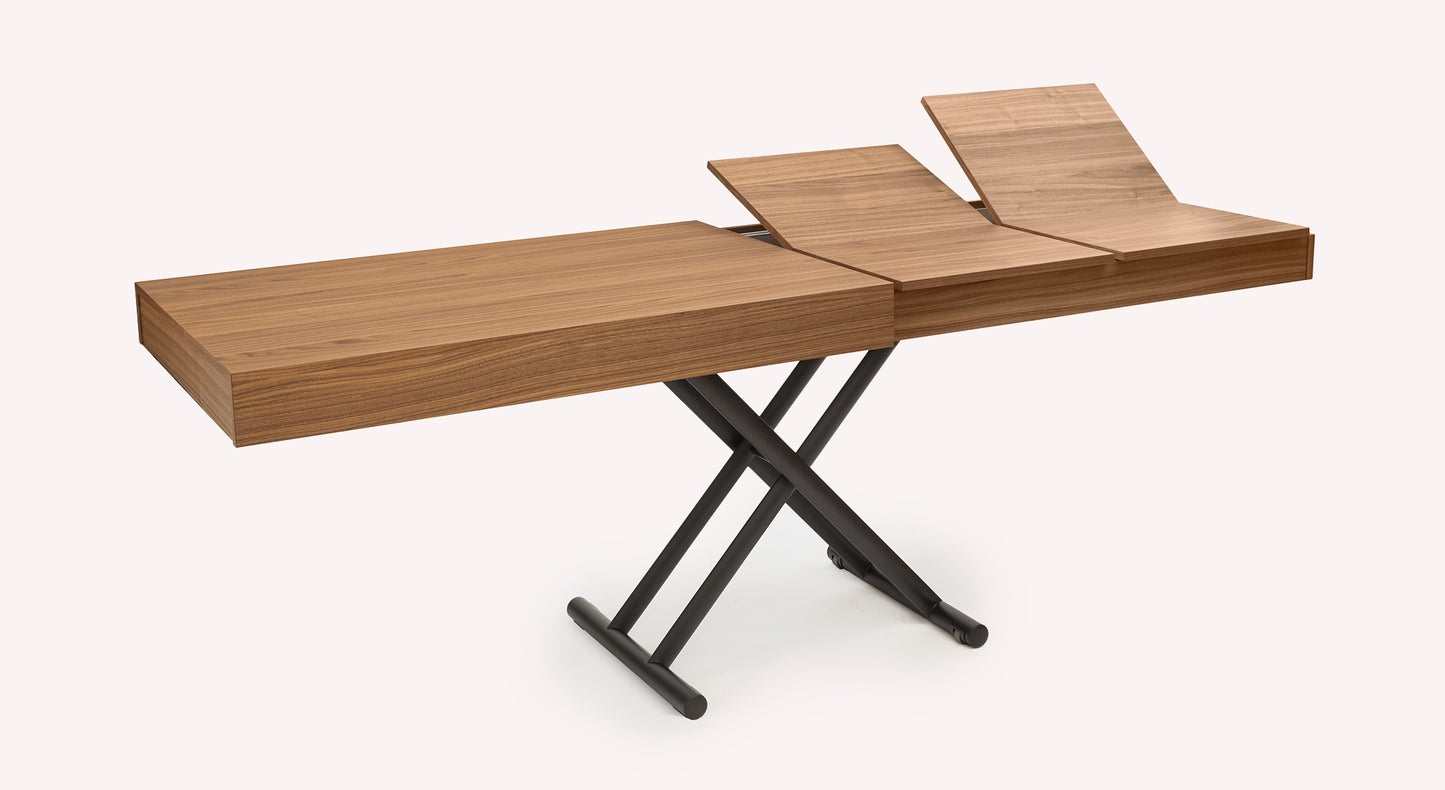 BOSTON Canaletto Walnut Veneer