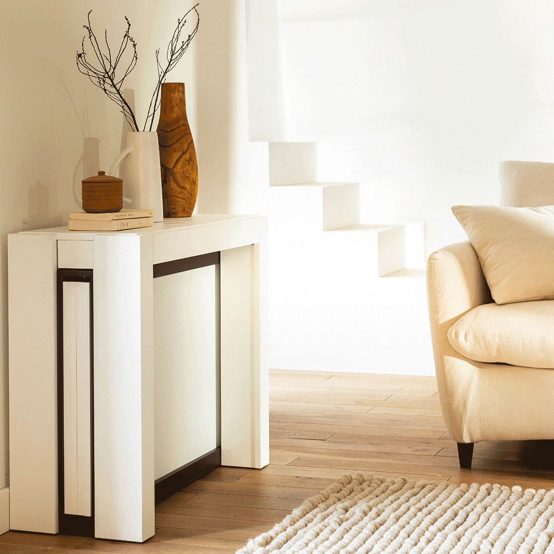 The extendable console with extensions: