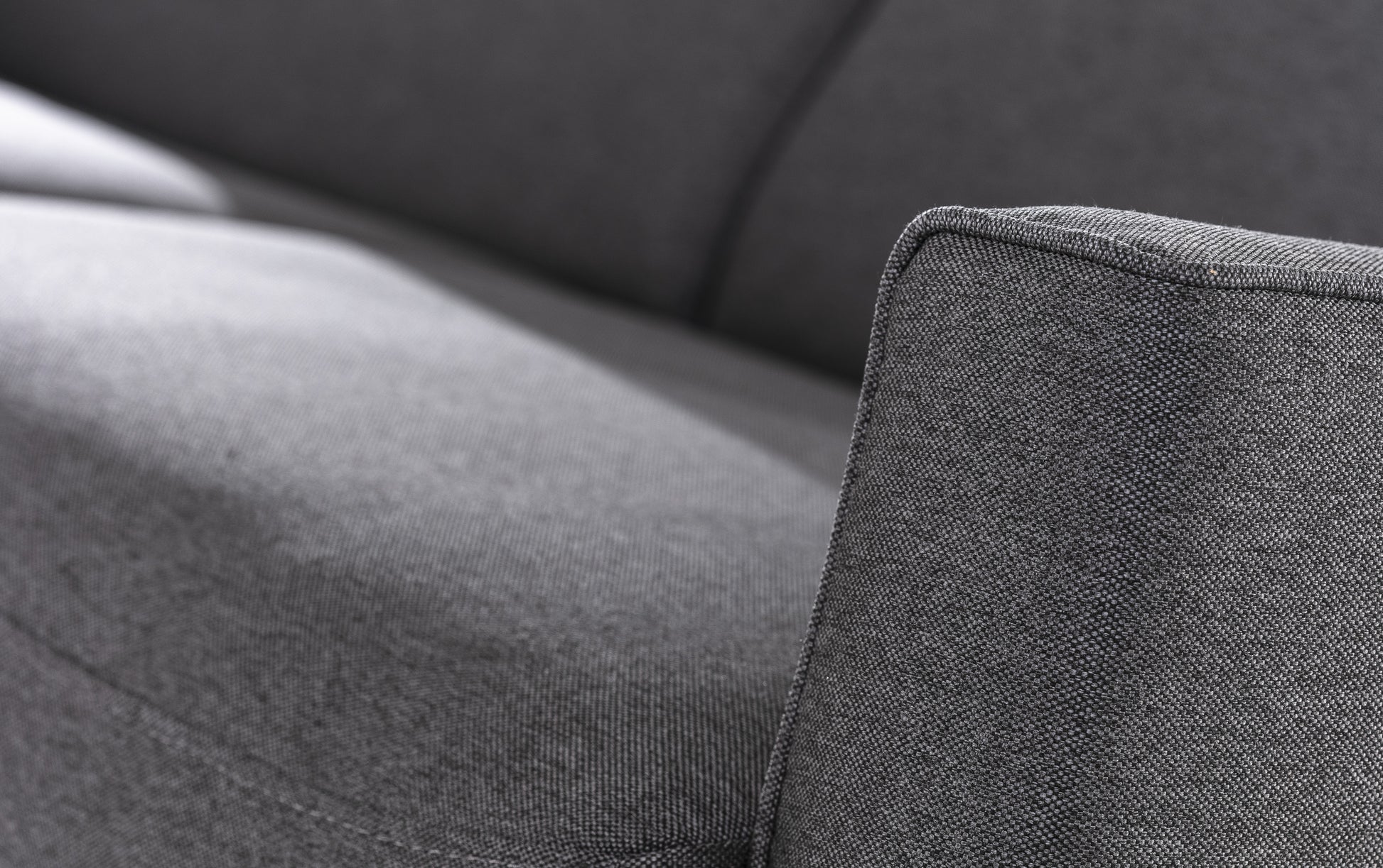 JIMMY Luna Chartreux