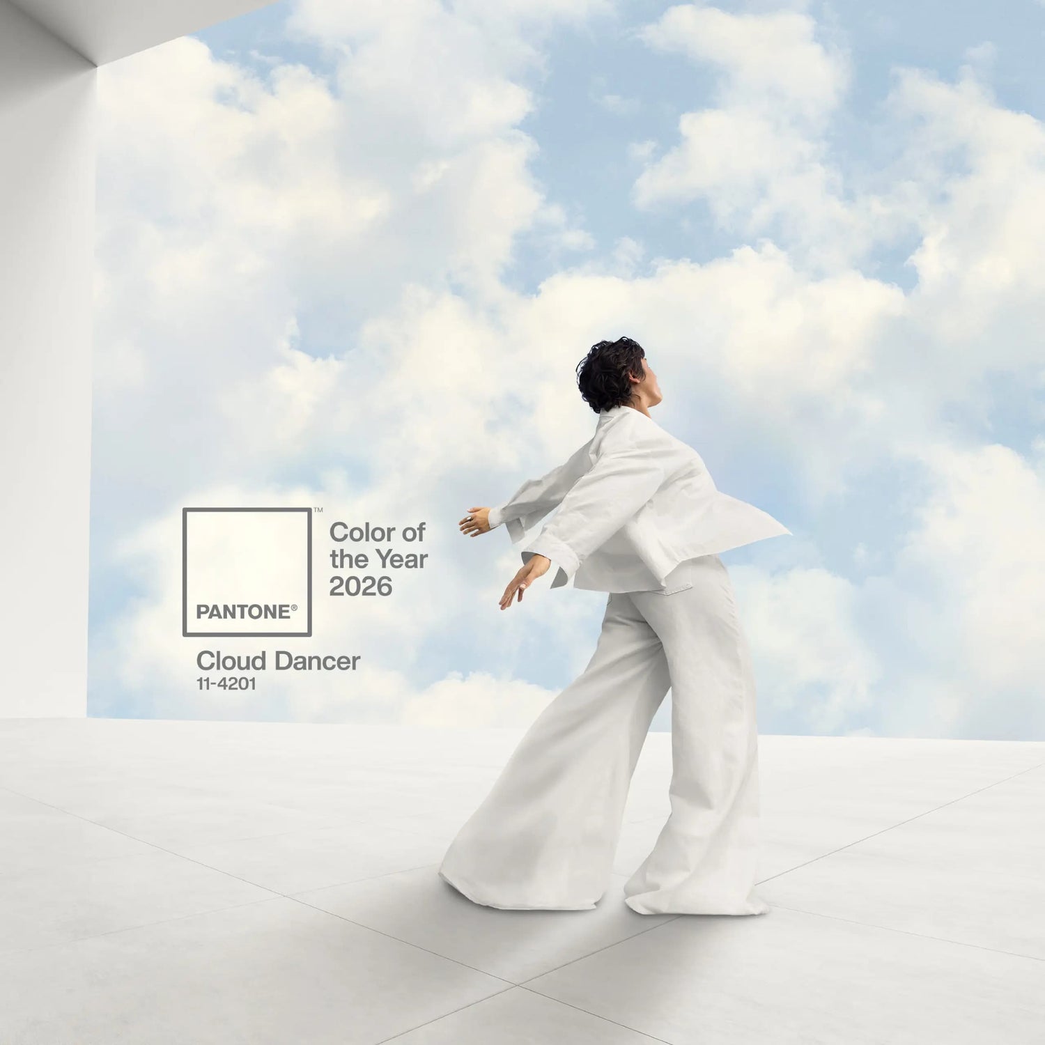 Couleur Pantone 2026 : Cloud Dancer, le blanc chaud à adopter chez soi