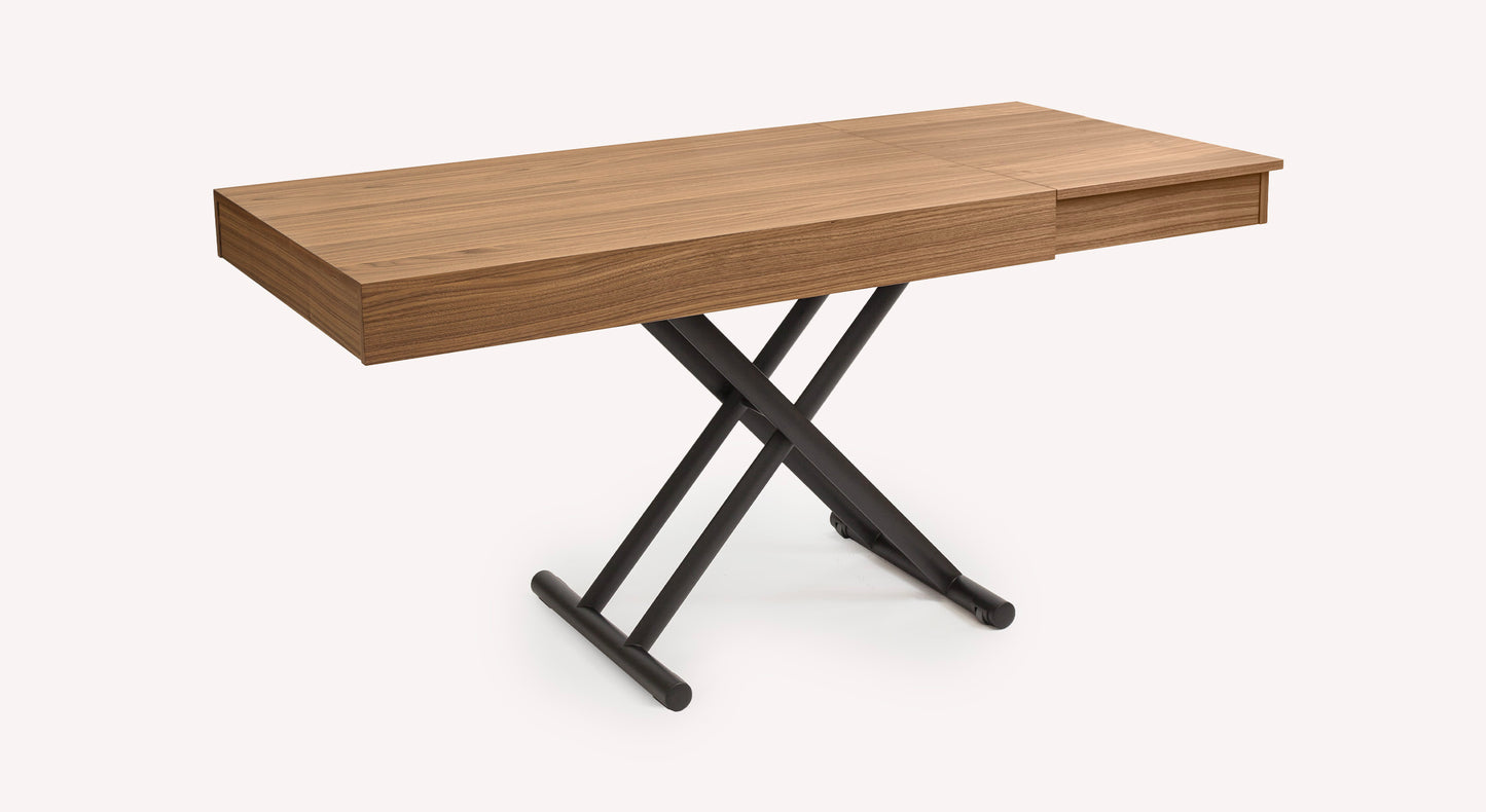 BOSTON Canaletto Walnut Veneer