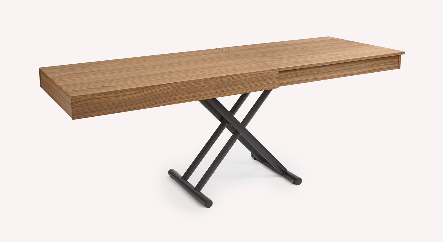 BOSTON Canaletto Walnut Veneer