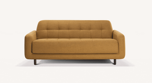 CLARK Foster Turmeric