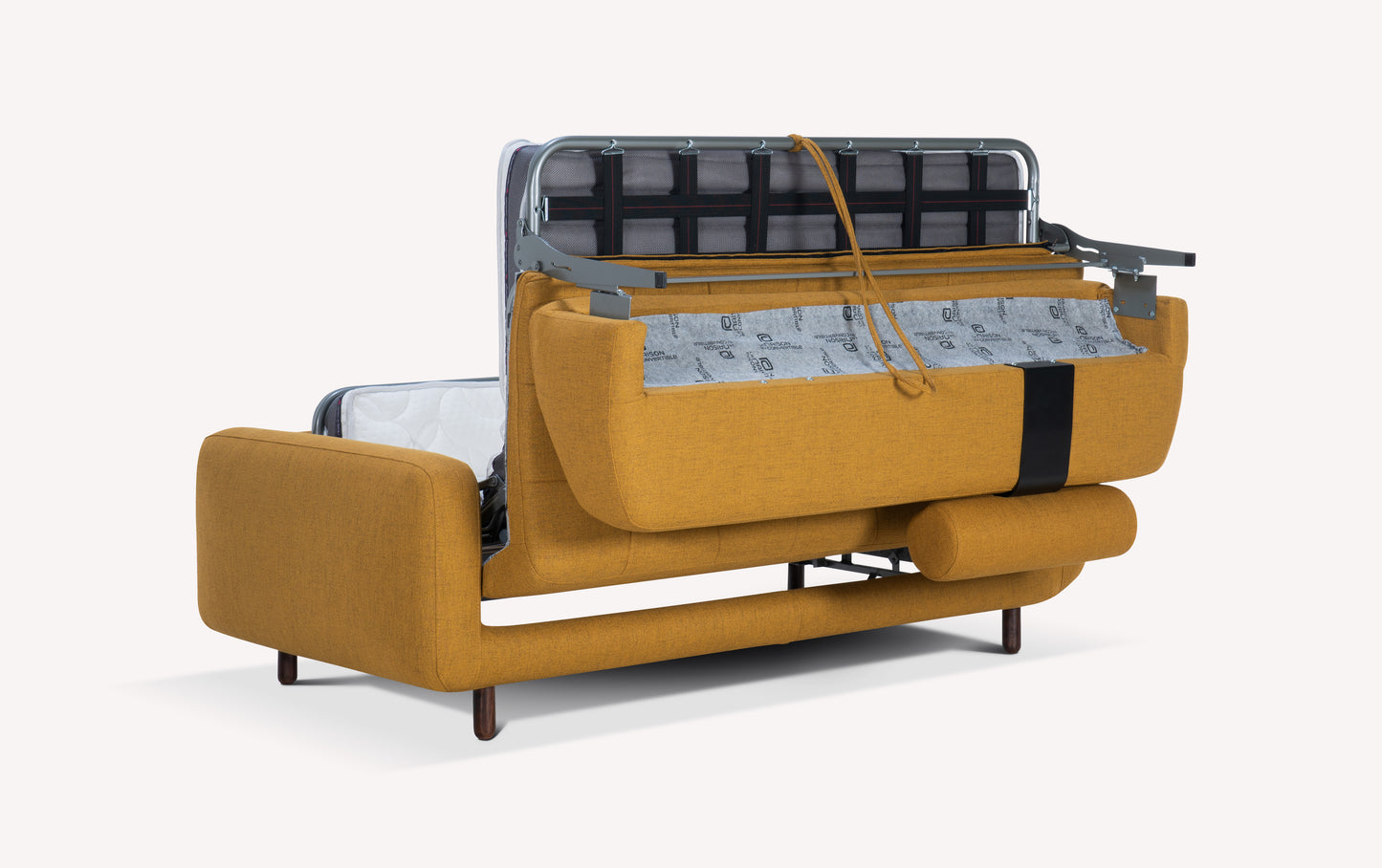 CLARK Foster Turmeric