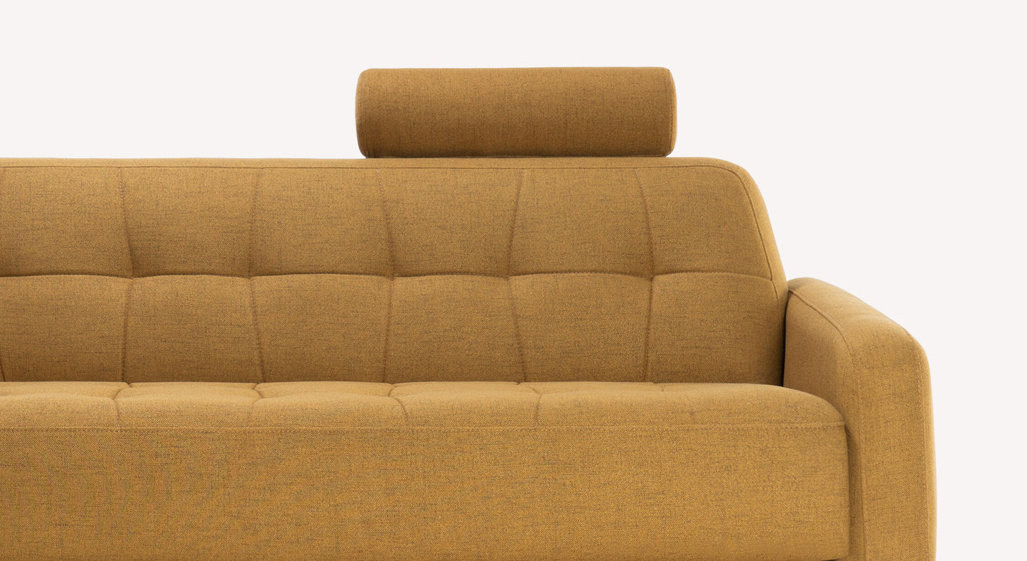 CLARK Foster Turmeric