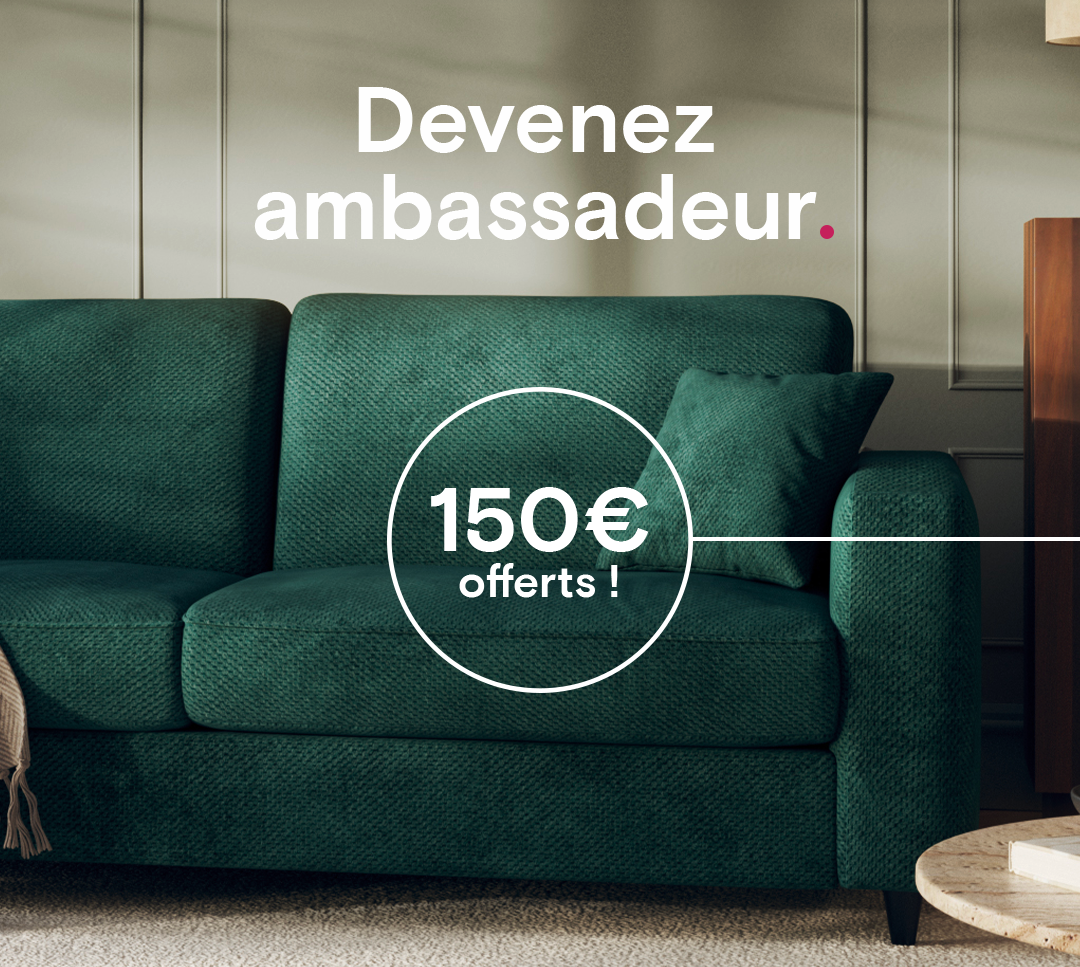  Why become an ambassador?