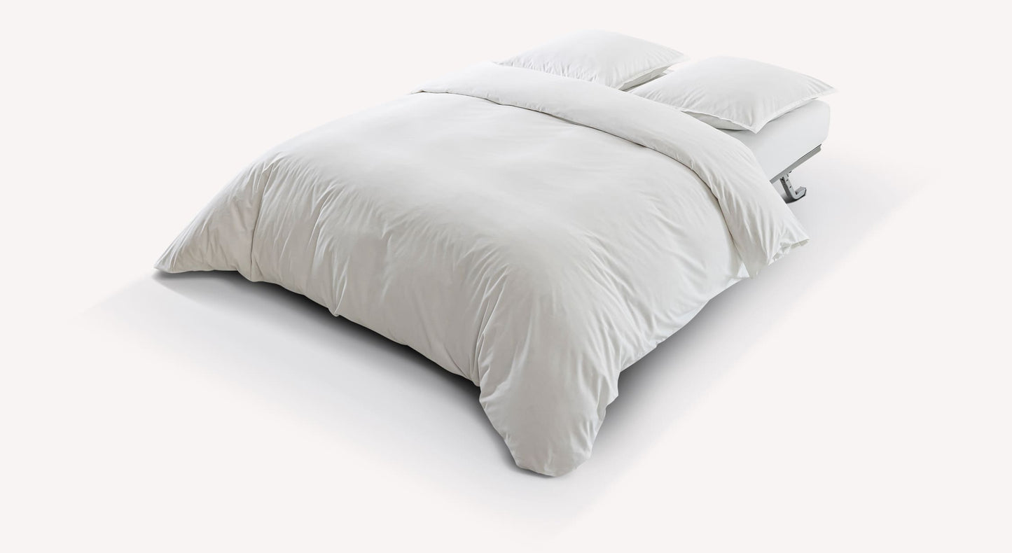 TORONTO Misterio Grege